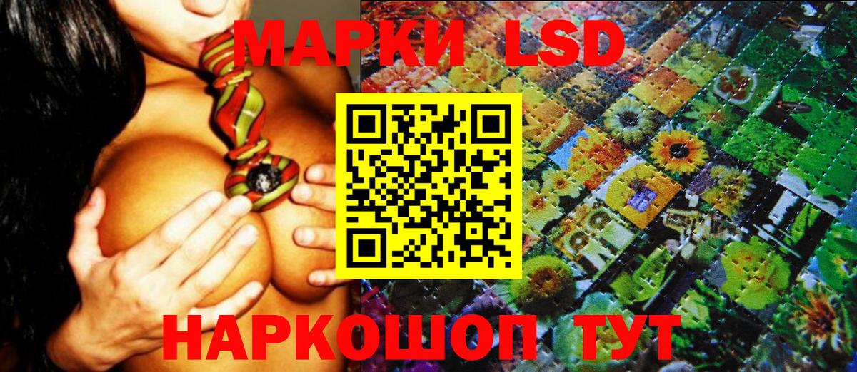 Наркотические марки 1500мкг Гусь-Хрустальный