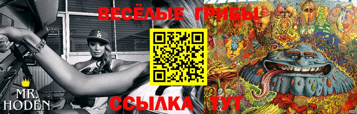 Галлюциногенные грибы Cubensis  Псилоцибиновые грибы Magic Shrooms  Гусь-Хрустальный  Вход с VPN 