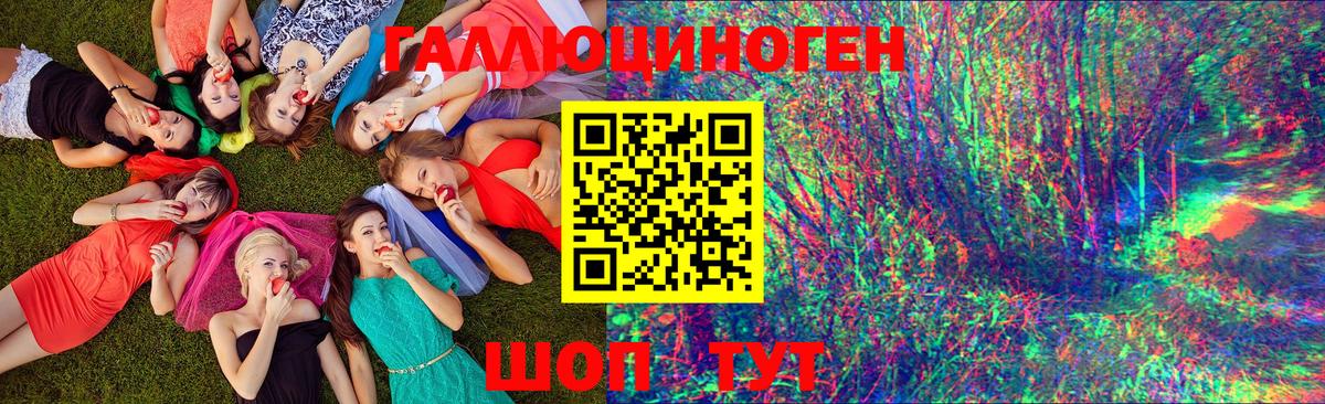 Псилоцибиновые грибы GOLDEN TEACHER Гусь-Хрустальный